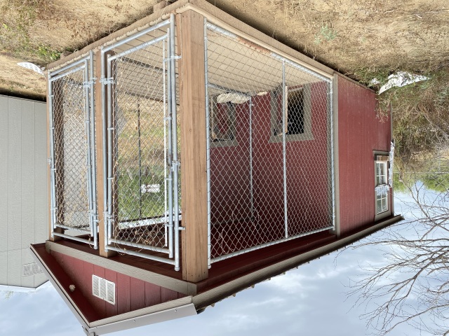 Dog Kennel - 8x16