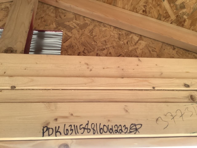 Dog Kennel - 8x16