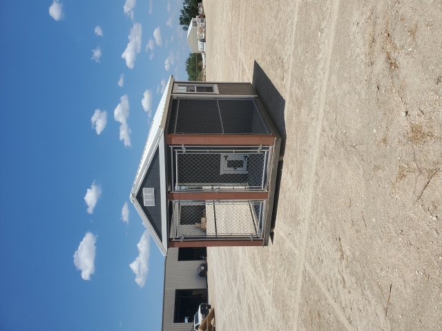 Dog Kennel - 8x12