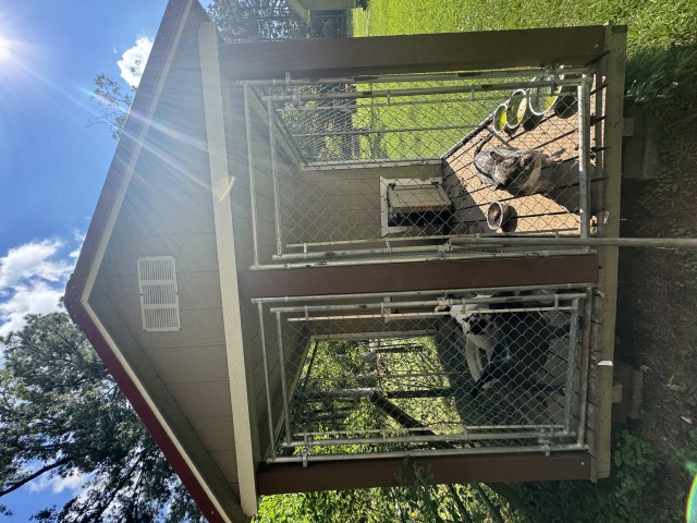 Dog Kennel - 8x16
