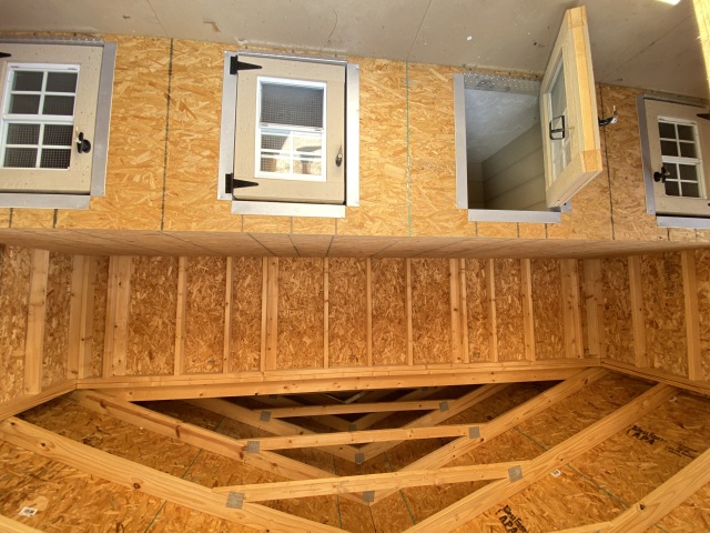 Dog Kennel - 16x16