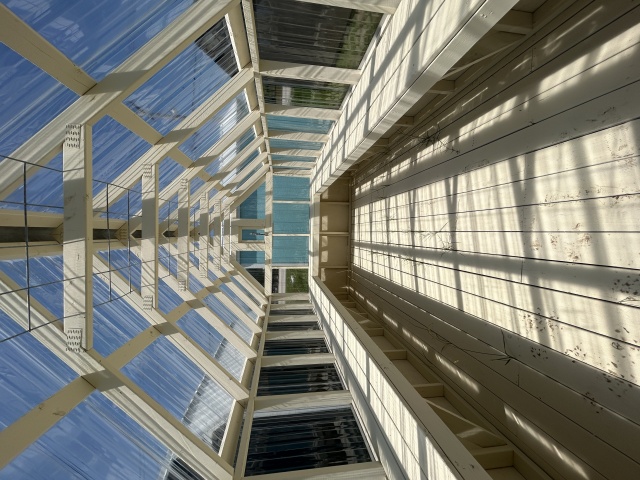 GH-701030-816-033125