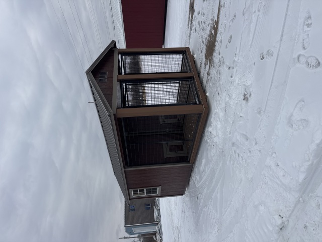 Dog Kennel - 8x16