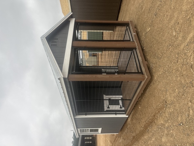 Dog Kennel - 8x16