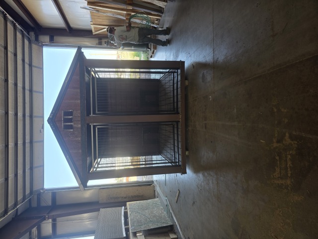 Dog Kennel - 8x16