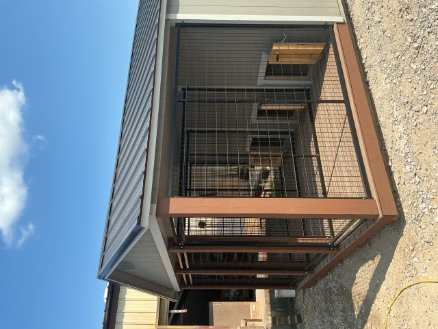 Dog Kennel - 12x22
