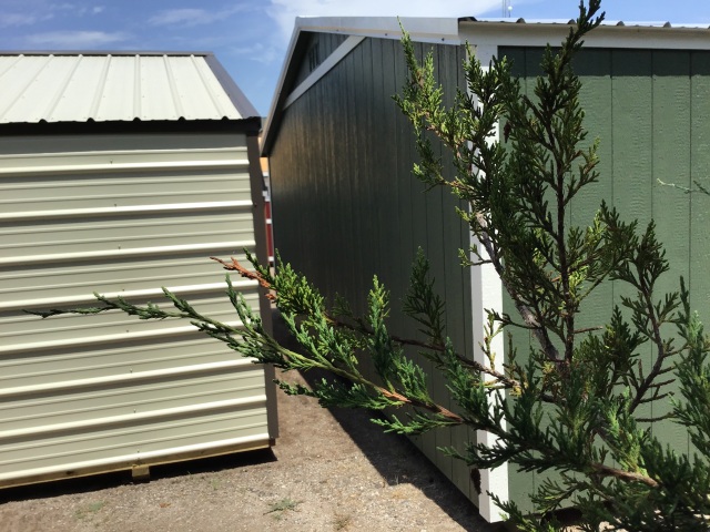 Best Value Wood (Side Utility) - 12x20