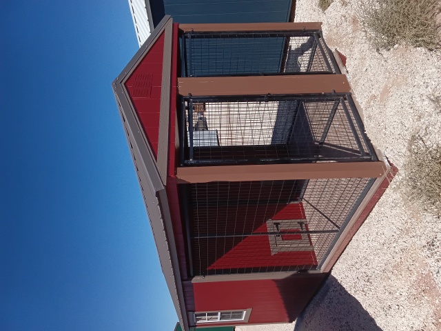 Dog Kennel - 8x16