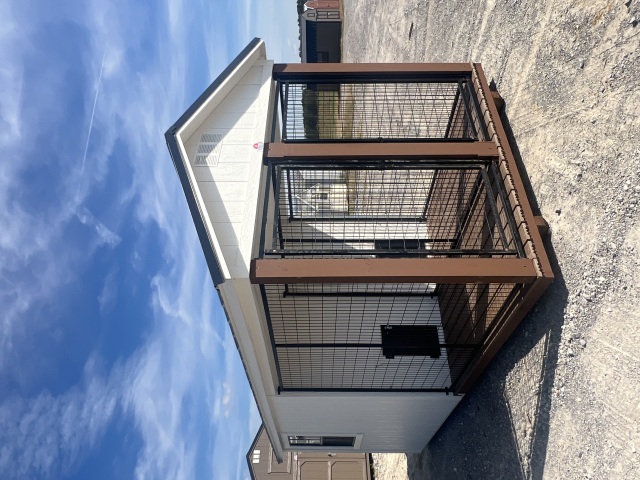 Dog Kennel - 8x16